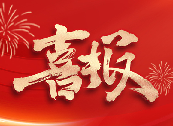喜报| 宁德卫星大数据荣获2025年“数据要素×”大赛福建分赛绿色低碳赛道二等奖